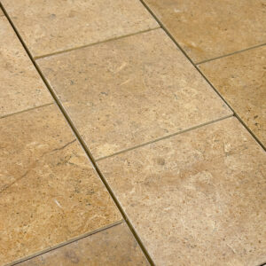 Taj Gold - Outlet Overstock