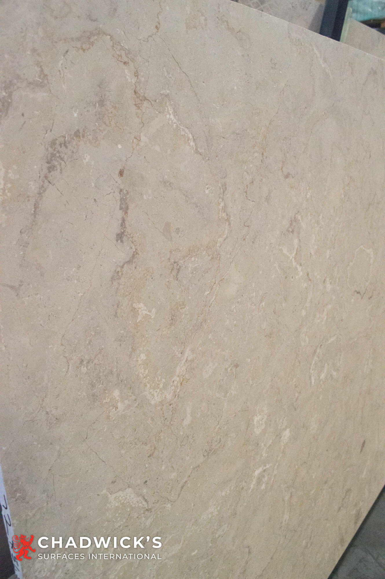 Sahara Gold Slabs - Image 8