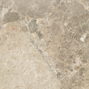 Breccia Nouvelle Honed