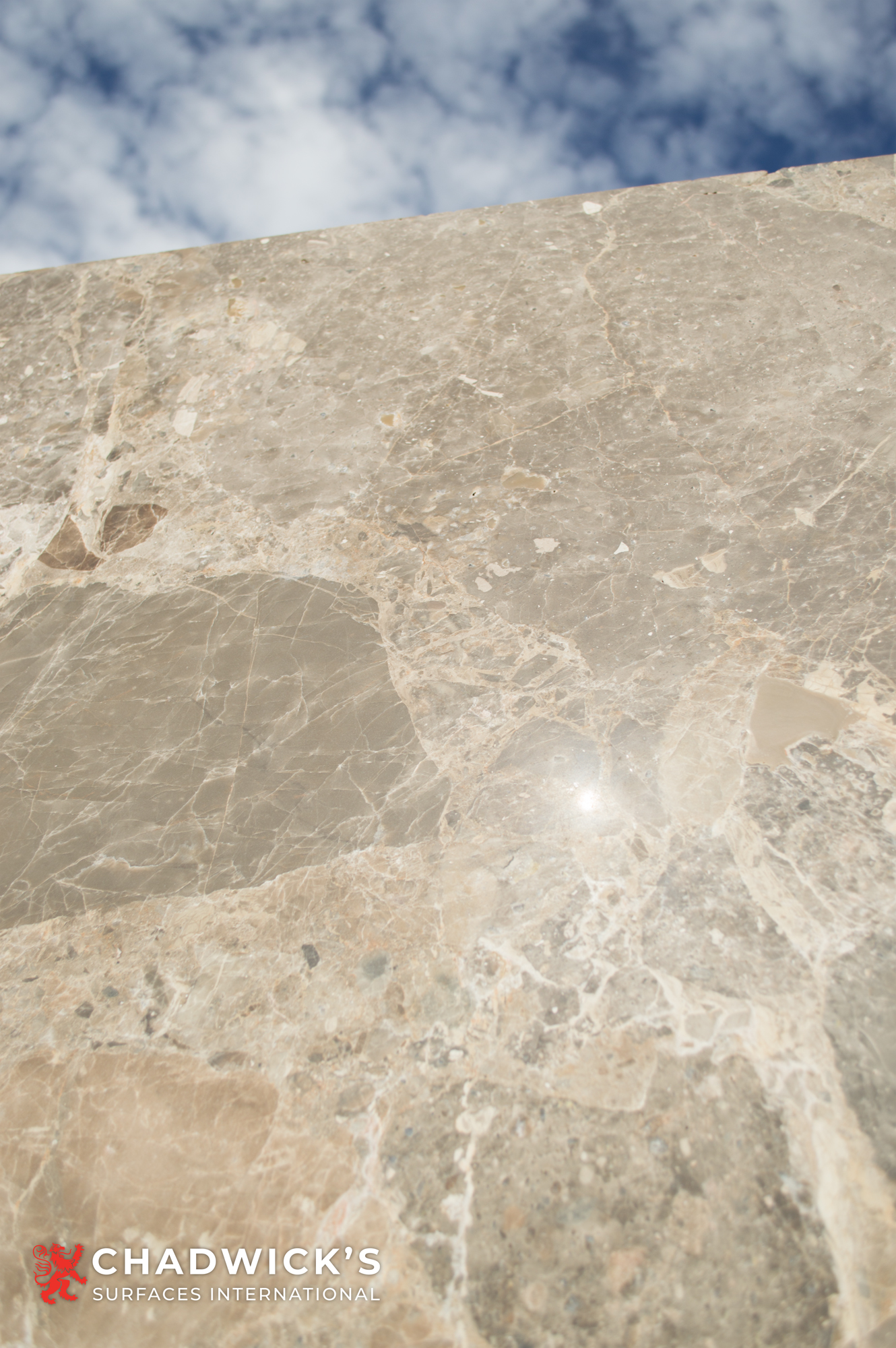 Breccia Nouvelle Honed Slab - Image 4