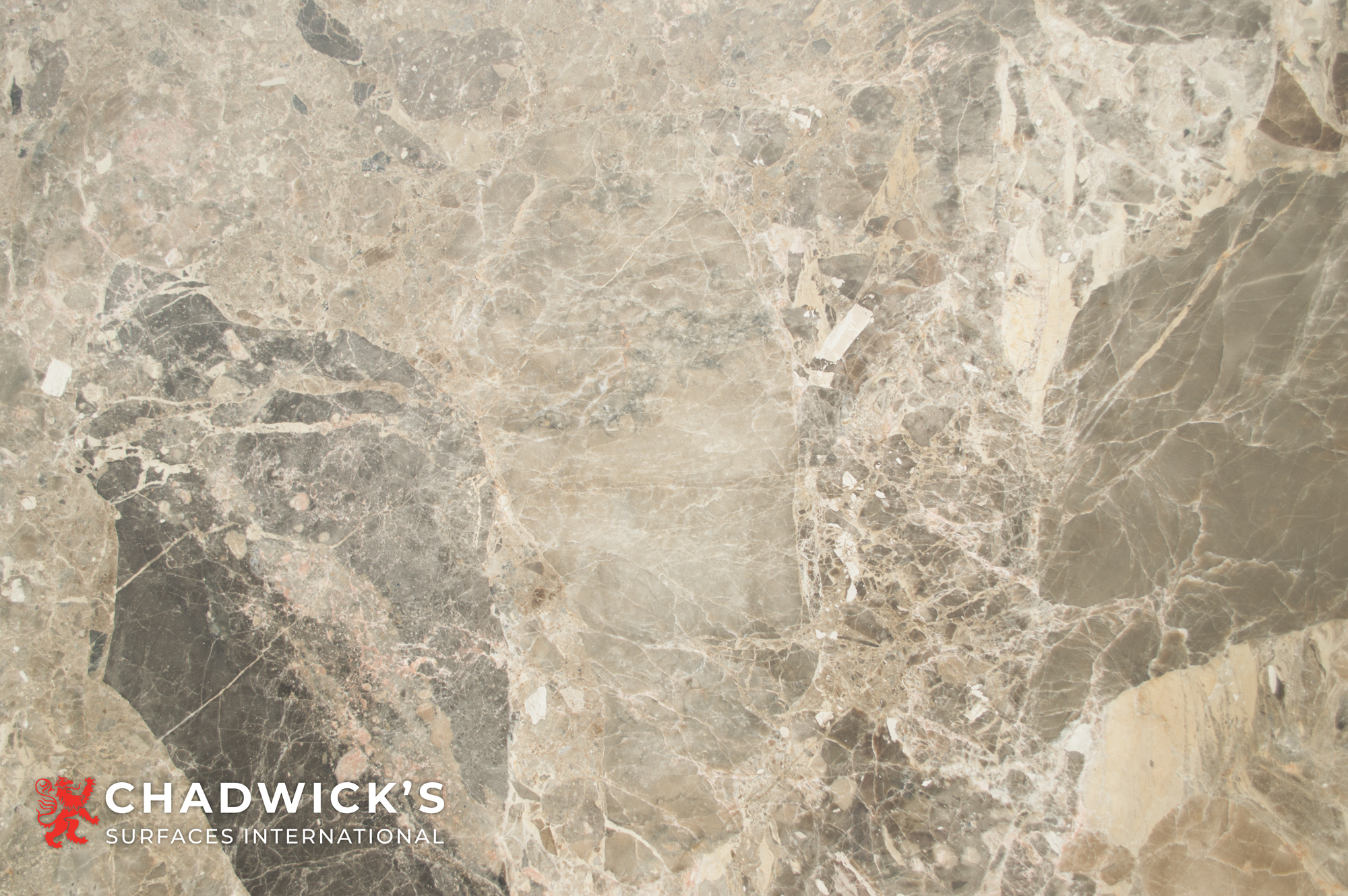 Breccia Nouvelle Honed Slab - Image 5