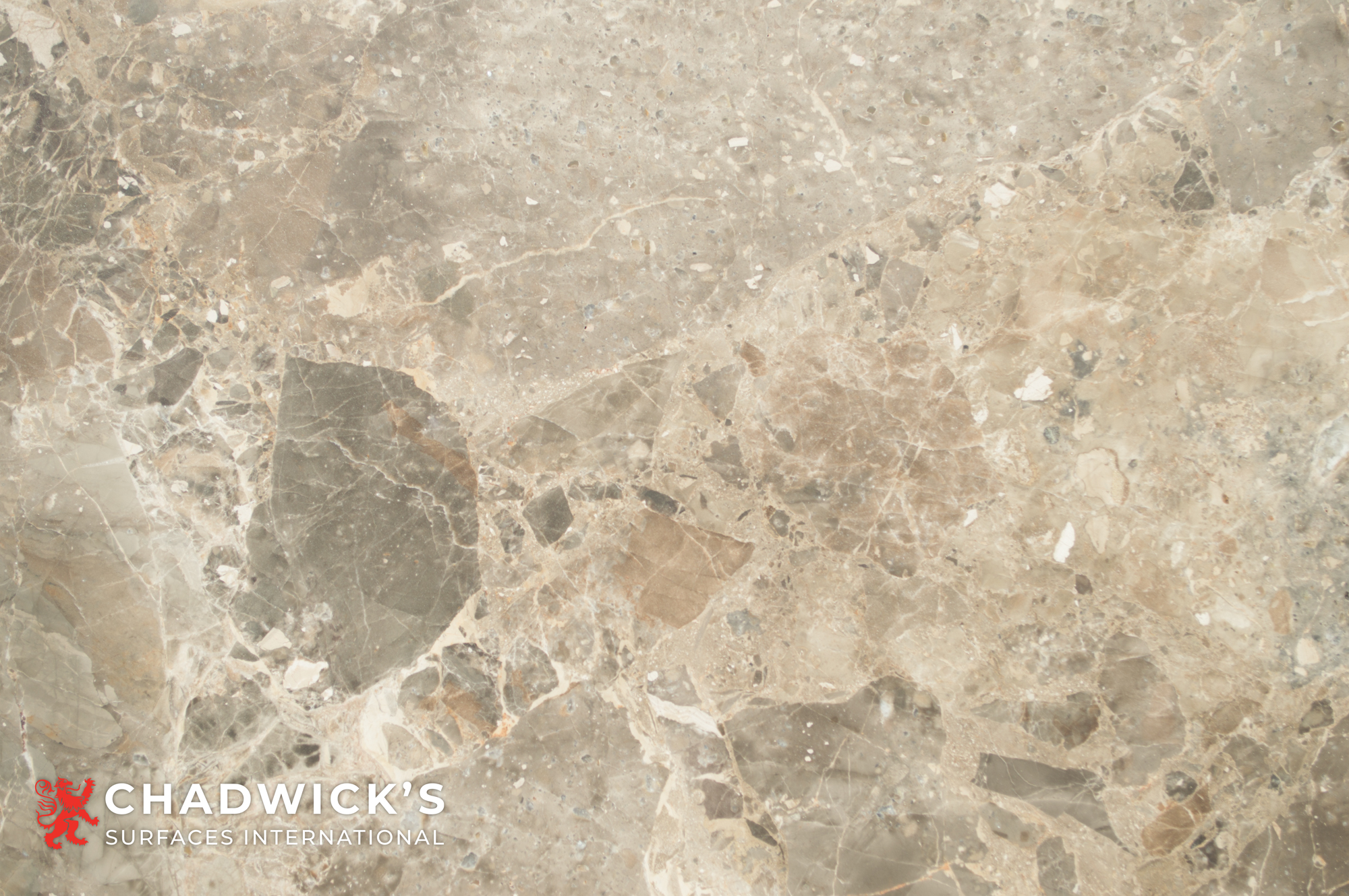 Breccia Nouvelle Honed Slab - Image 6