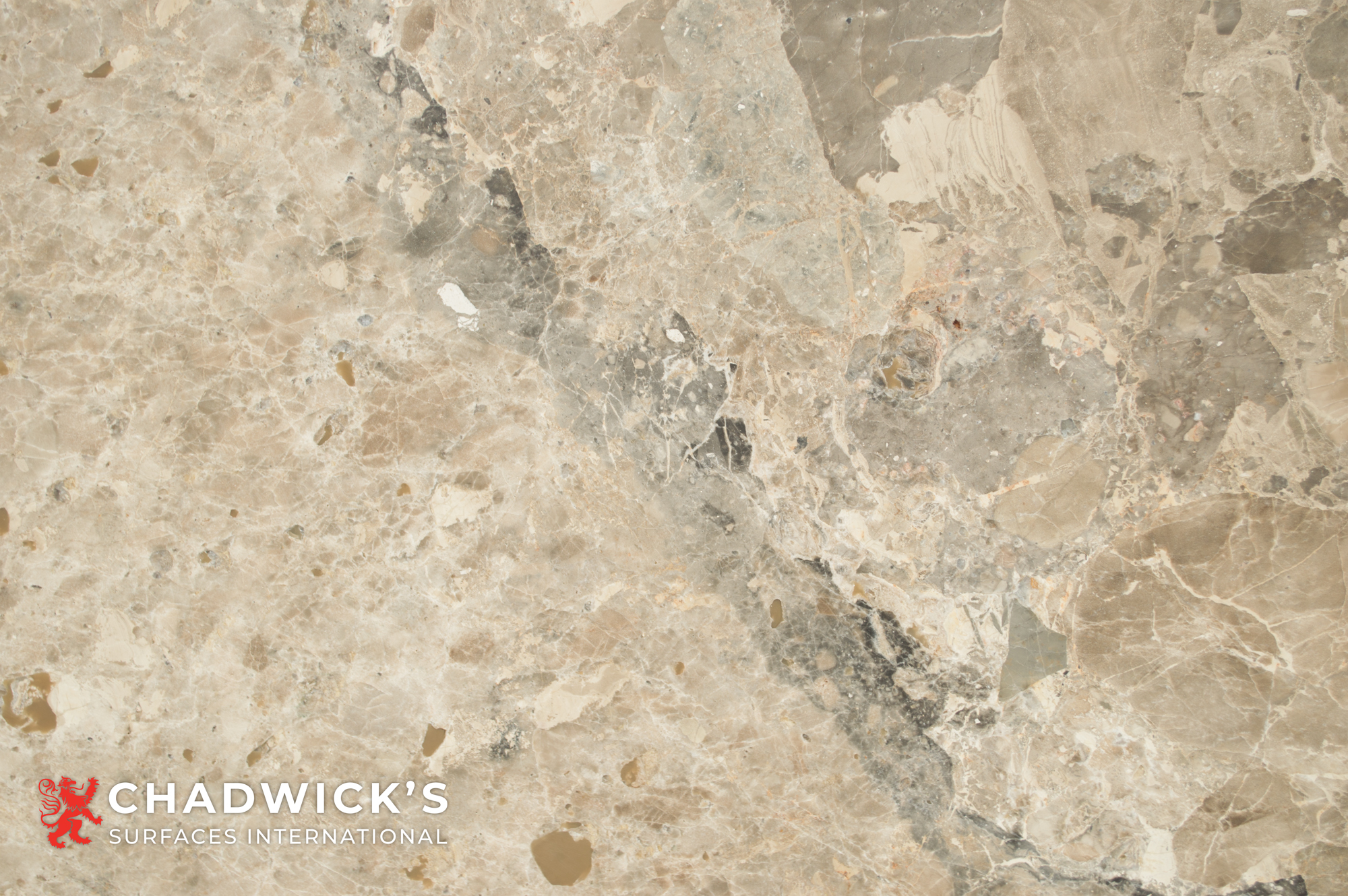 Breccia Nouvelle Honed Slab - Image 8