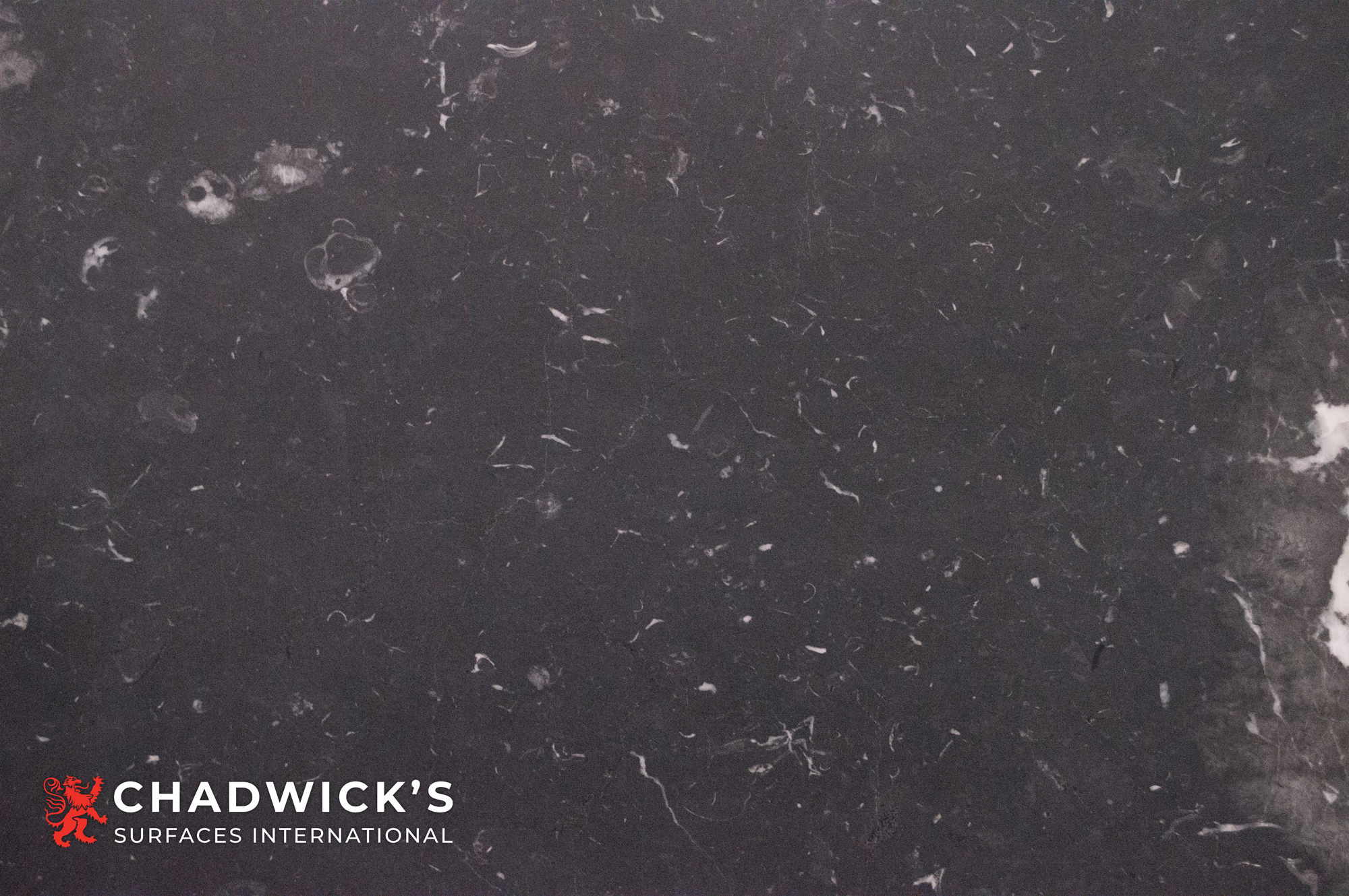 Nero Marquina Slabs - Image 4
