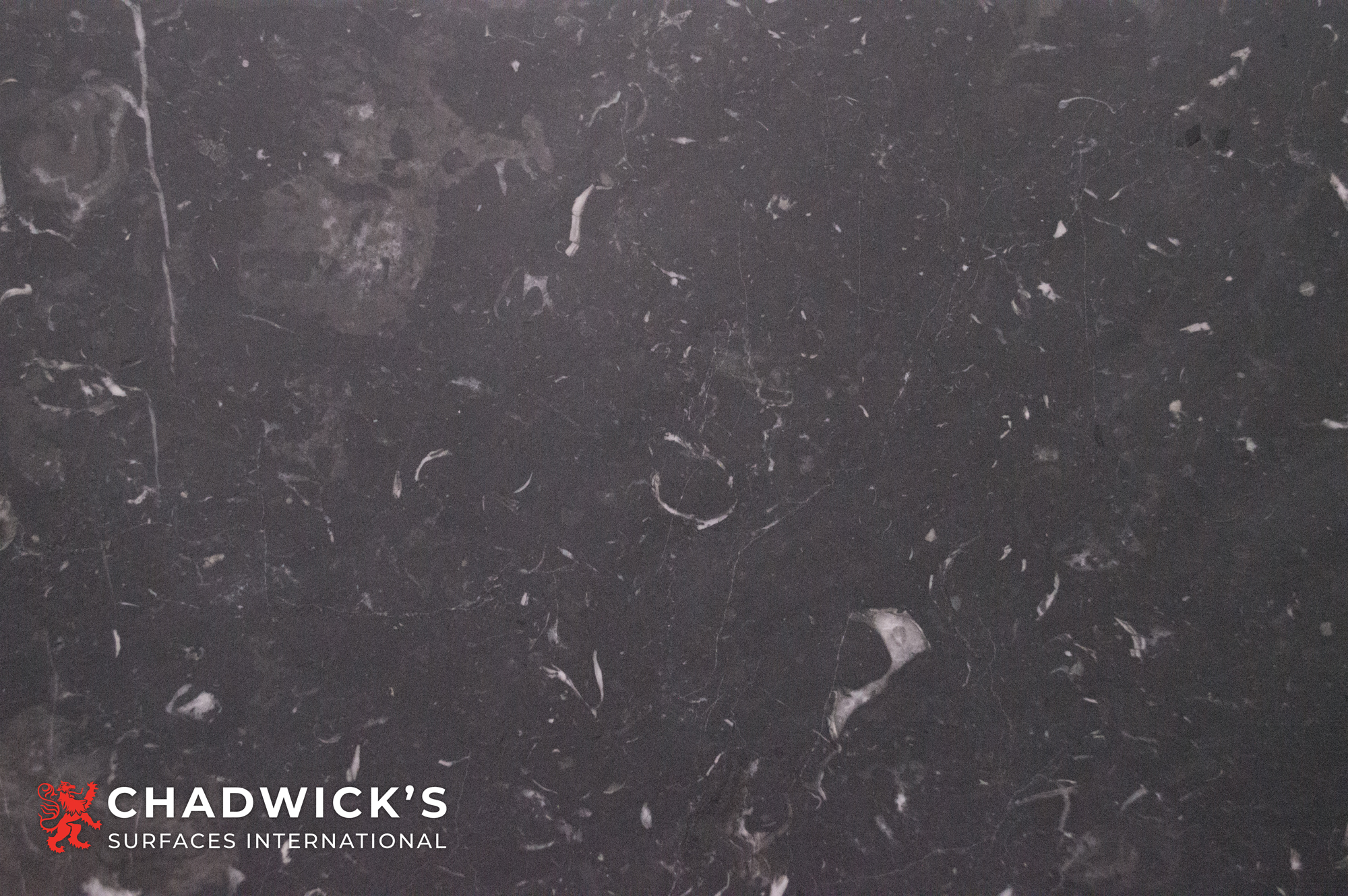 Nero Marquina Slabs - Image 5