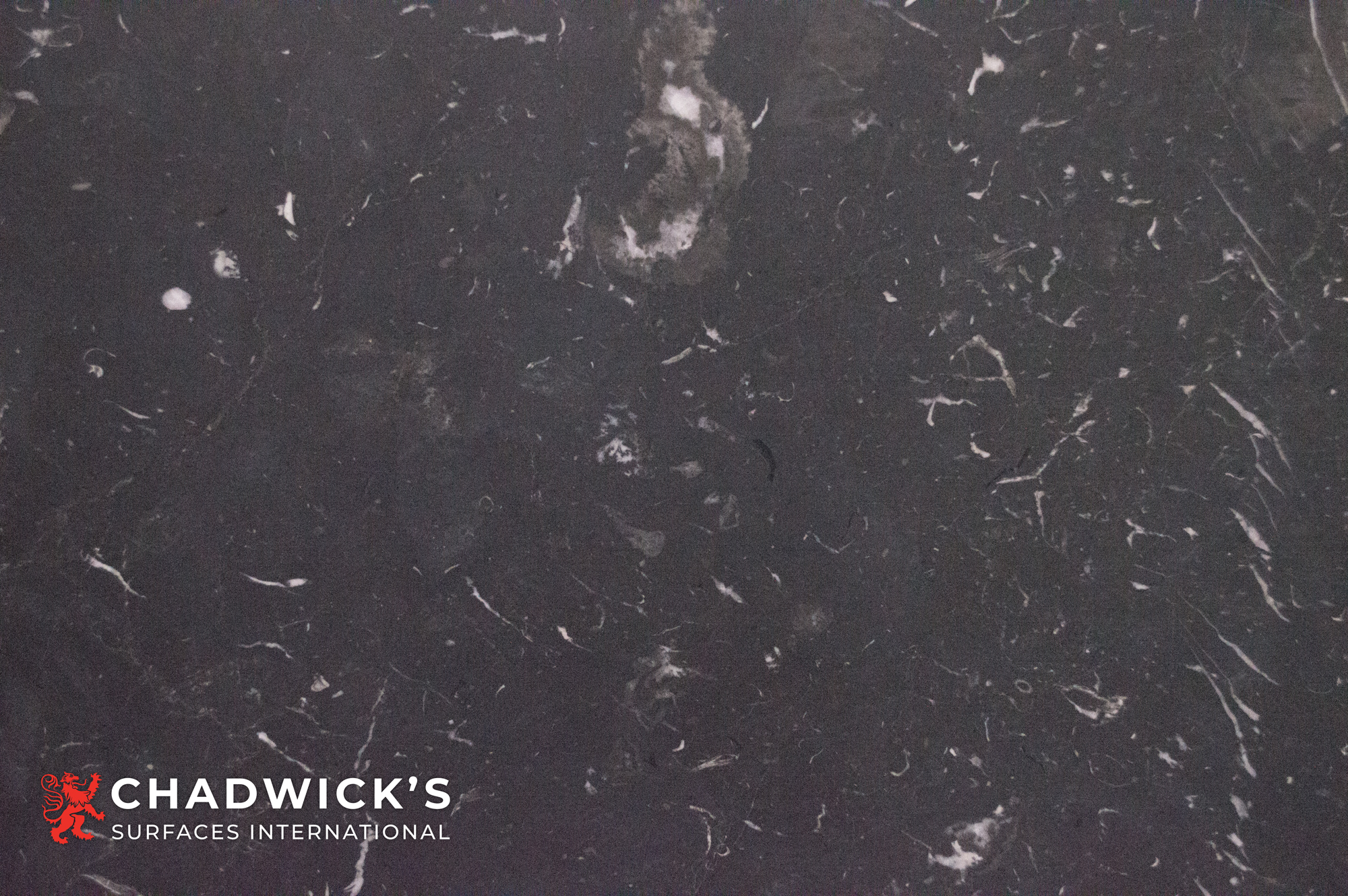 Nero Marquina Slabs - Image 6