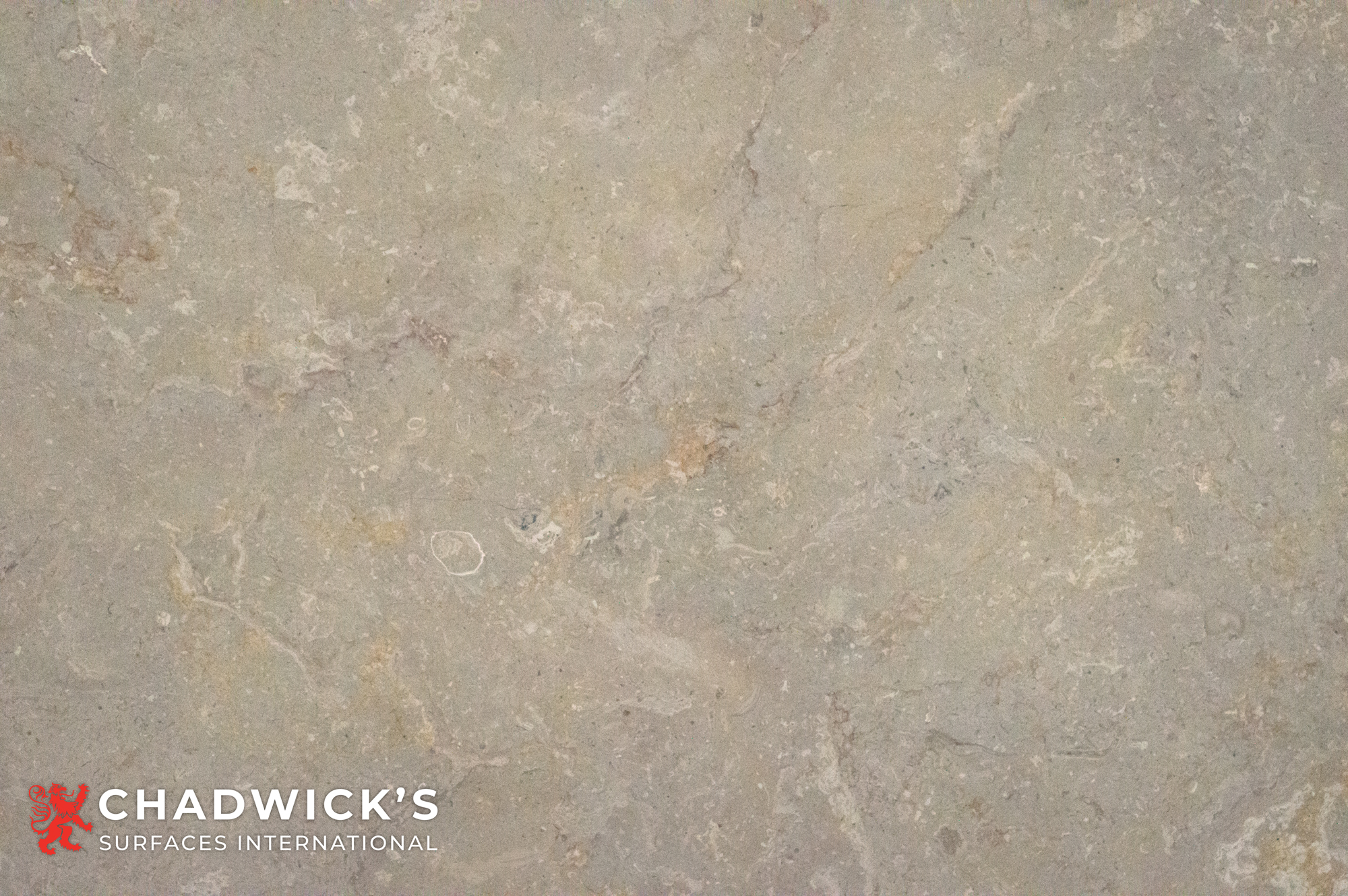 Sahara Gold Slabs - Image 4