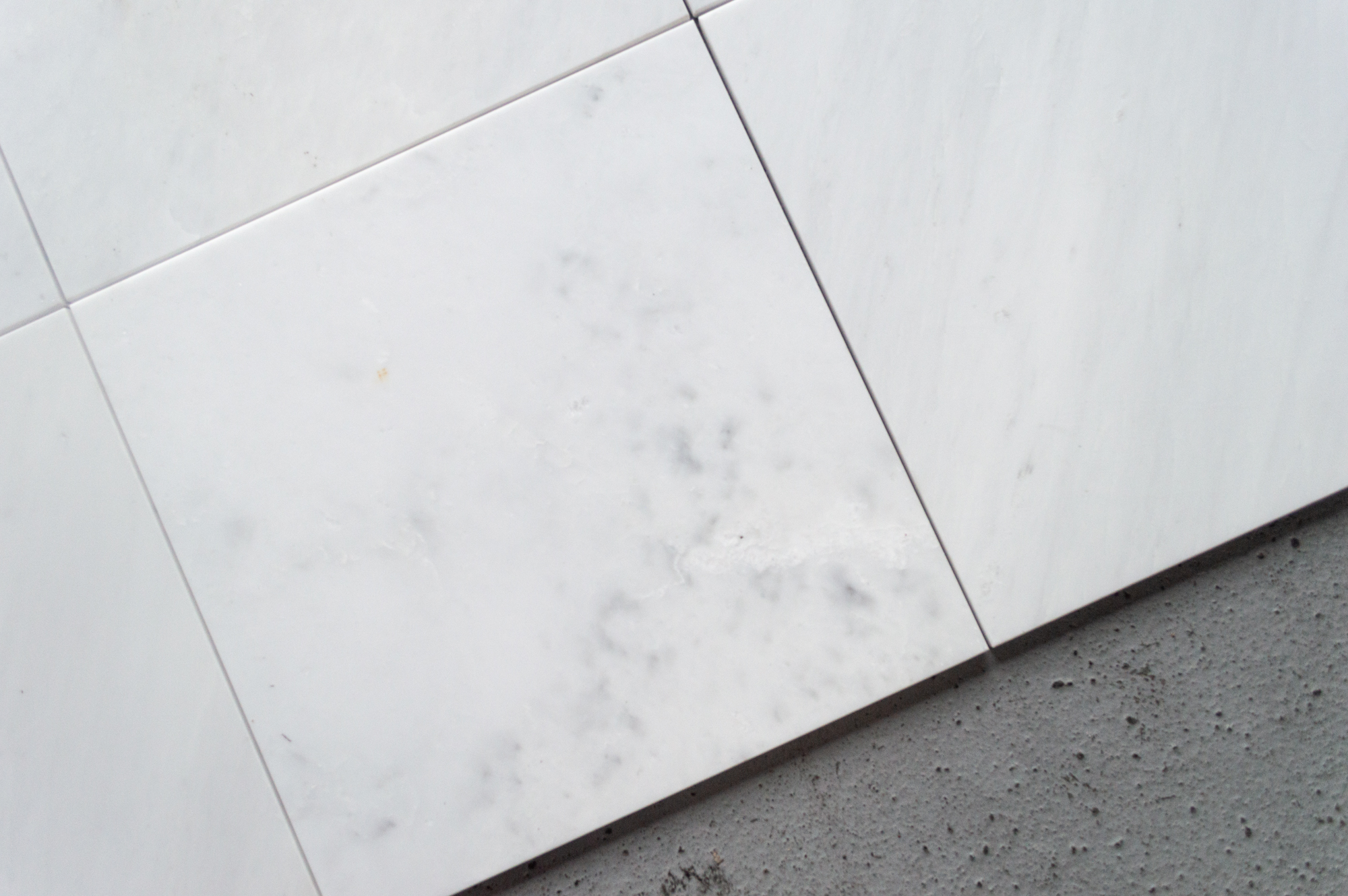Pacific White BL19 12x12 003