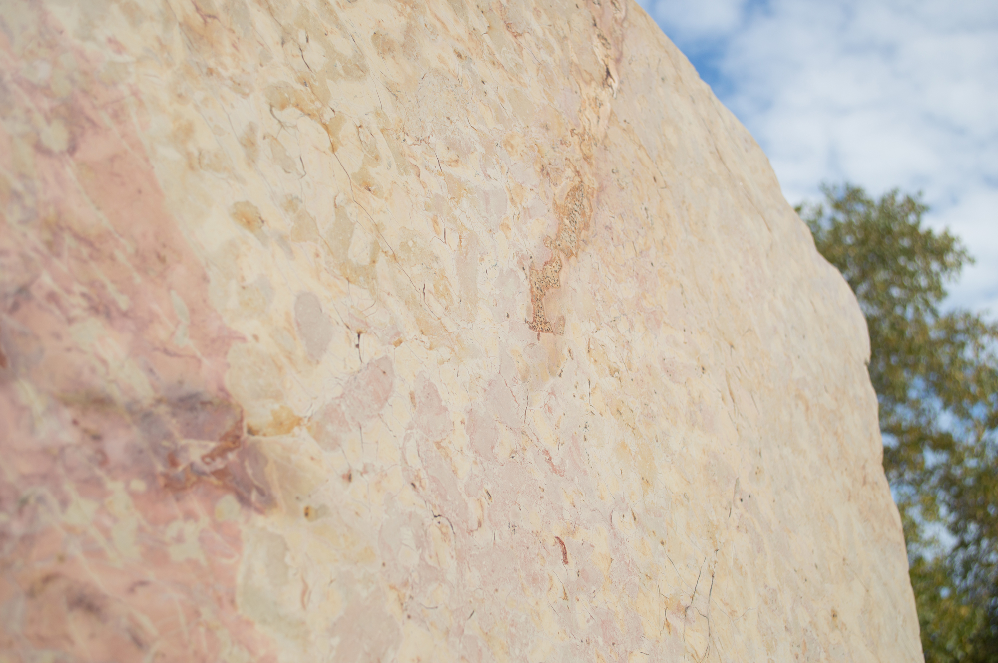 Giallo Capriccio Slabs - Image 4