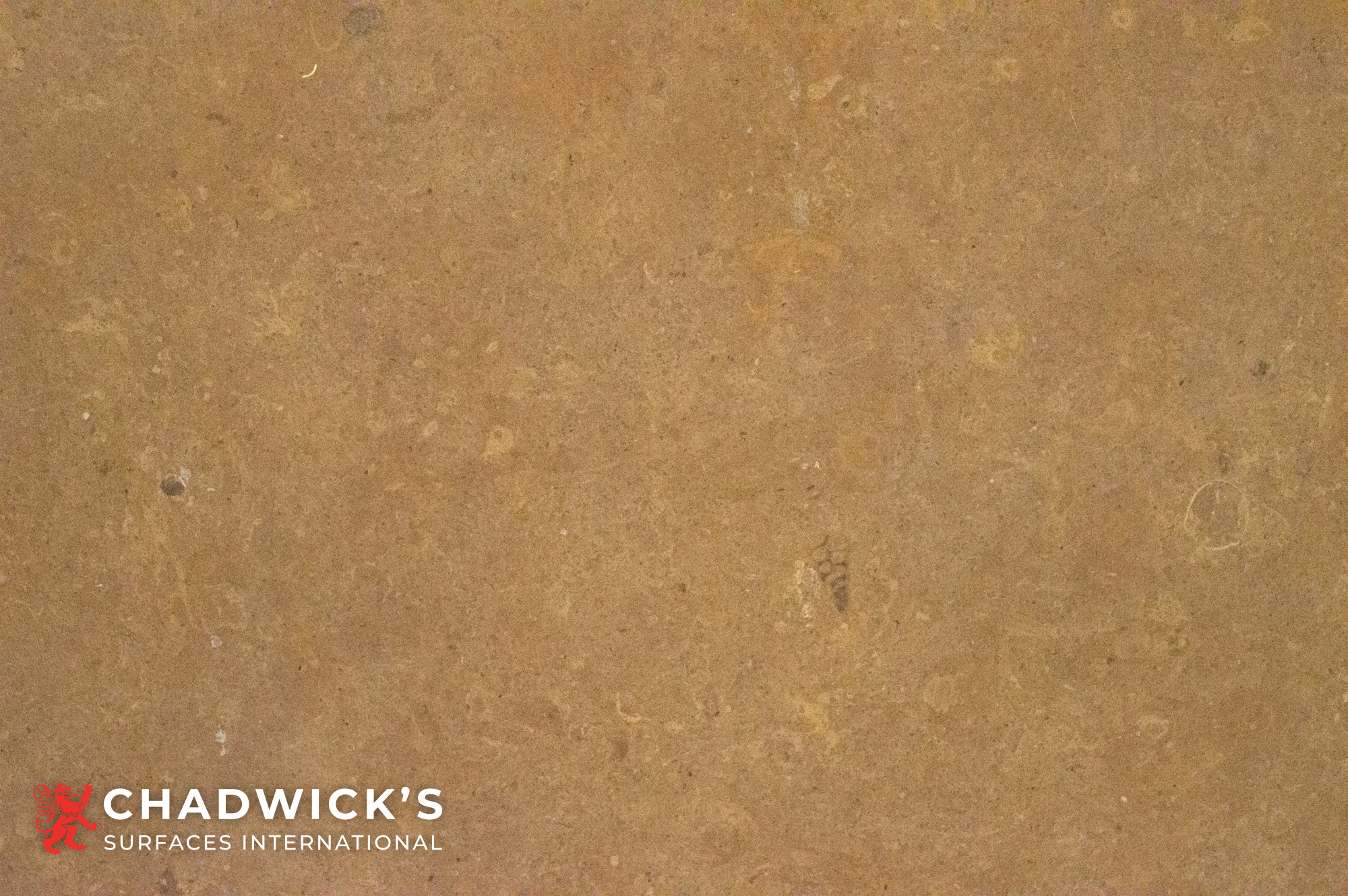 Taj Gold Slabs - Image 3