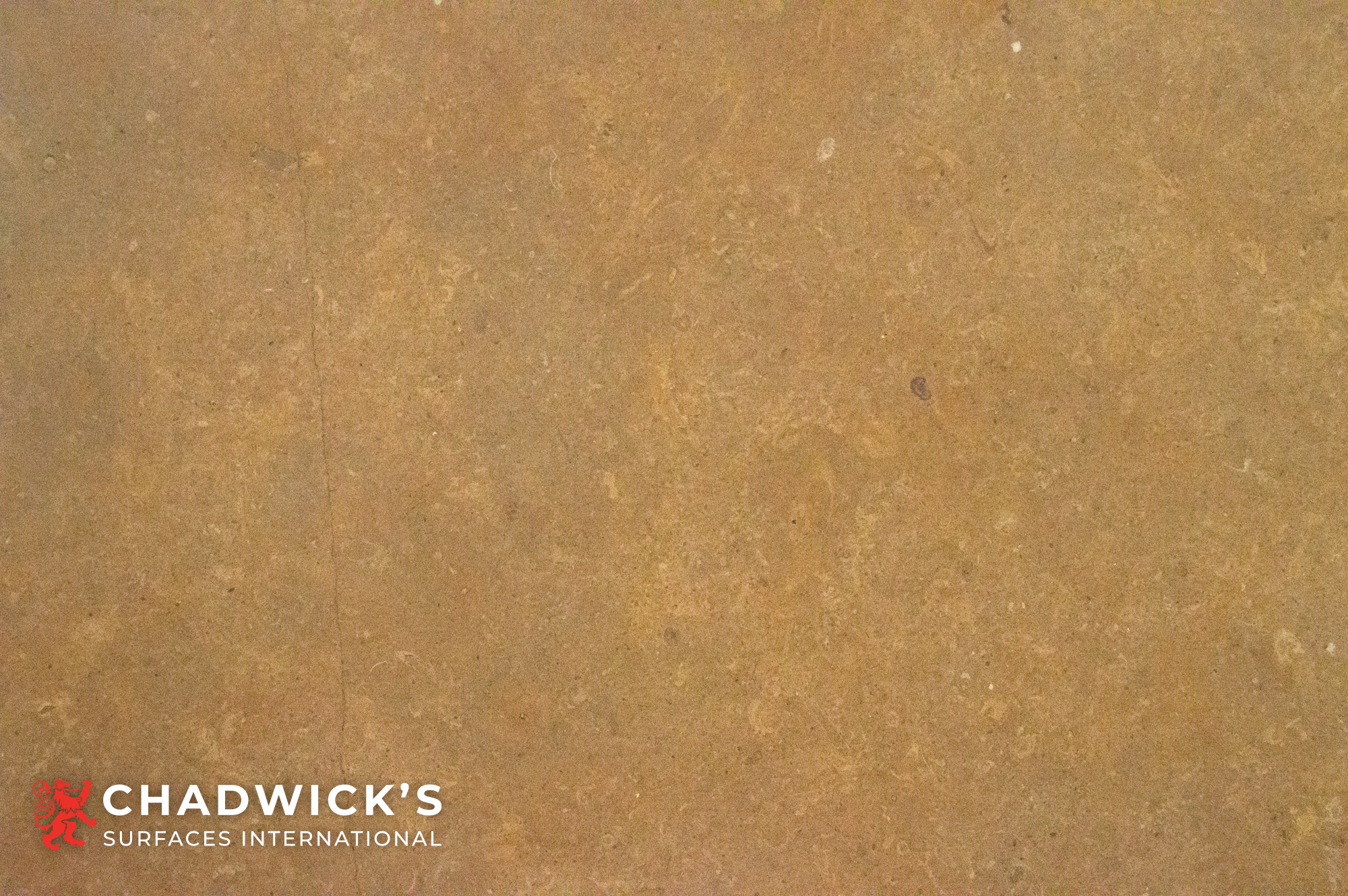 Taj Gold Slabs - Image 4