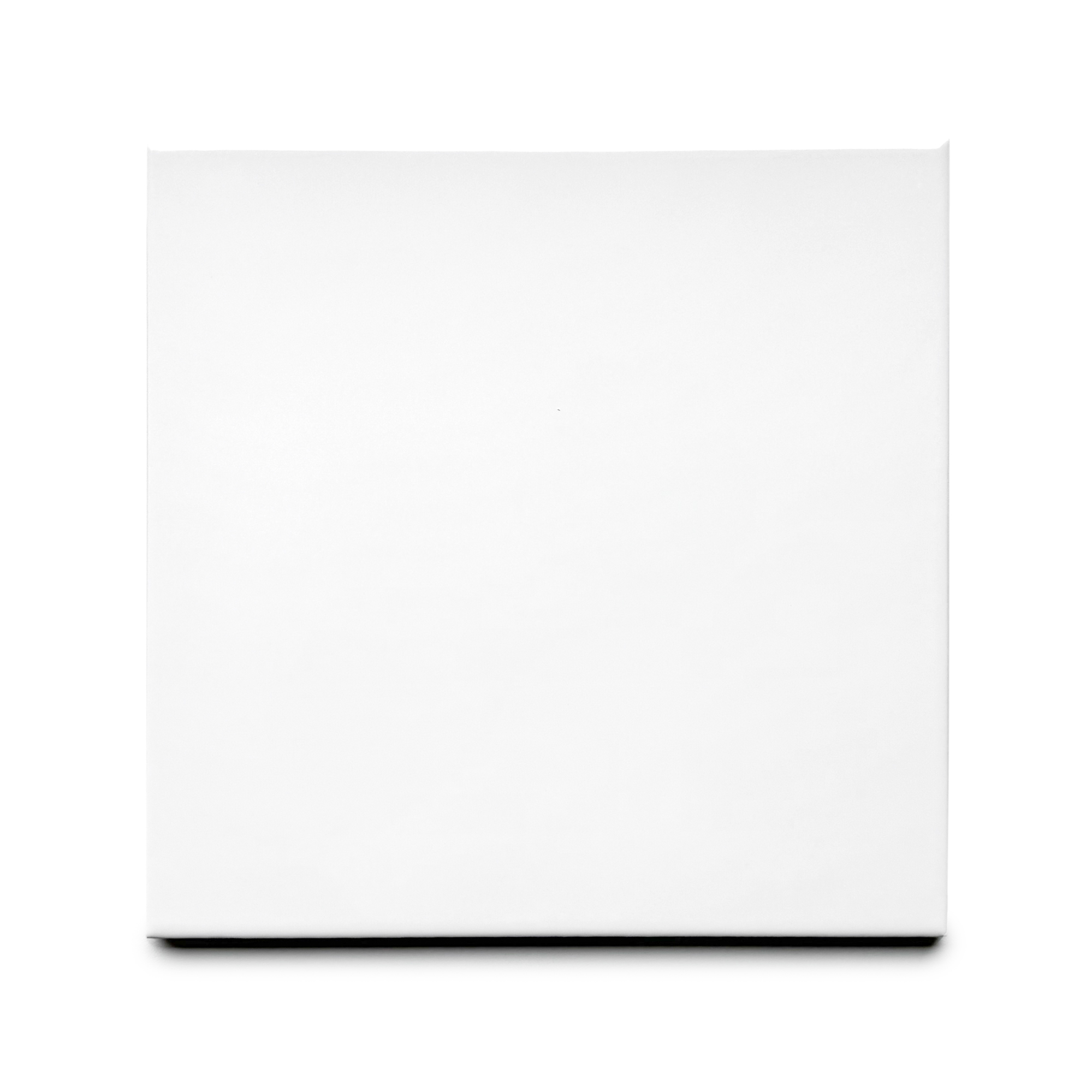 BP White Gloss - Image 2