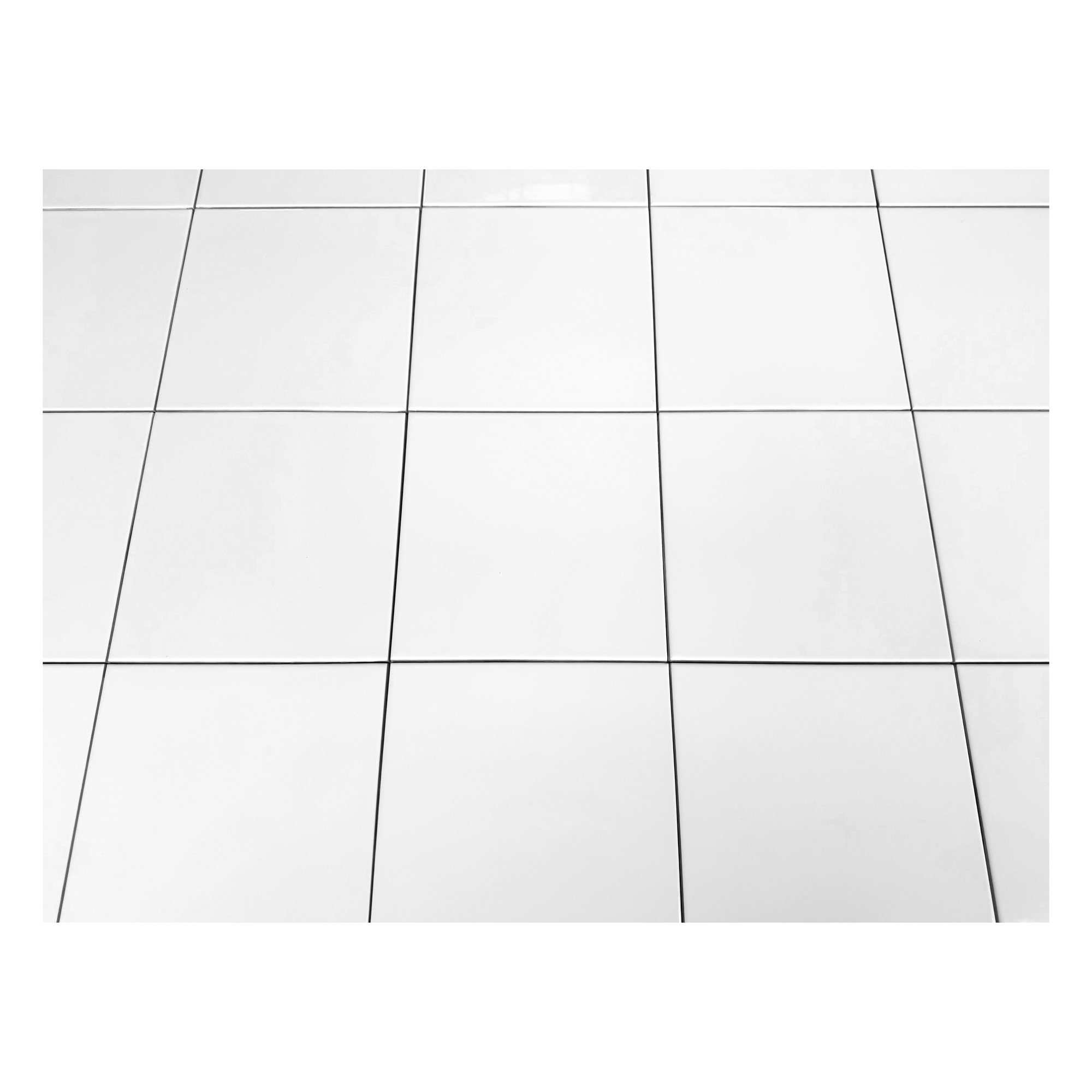 BP White Gloss - Image 8