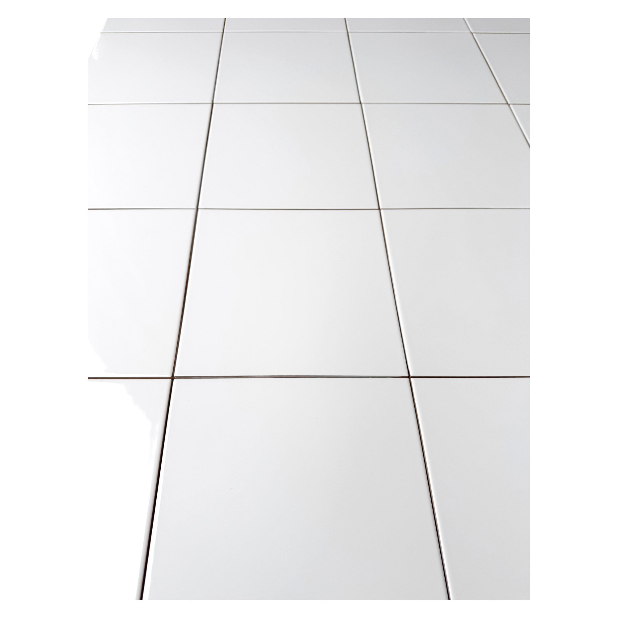 BP White Gloss - Image 9