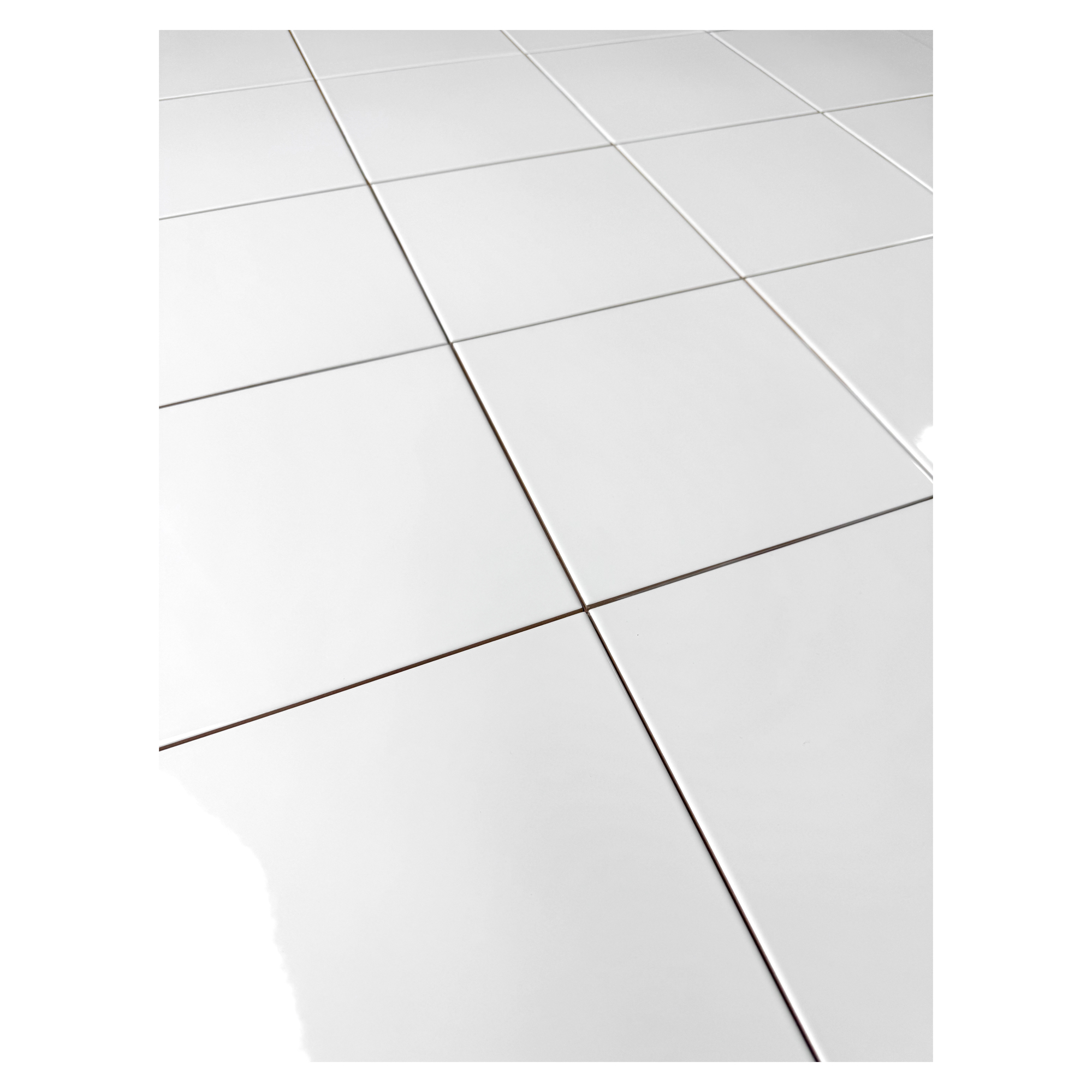 BP White Gloss - Image 10