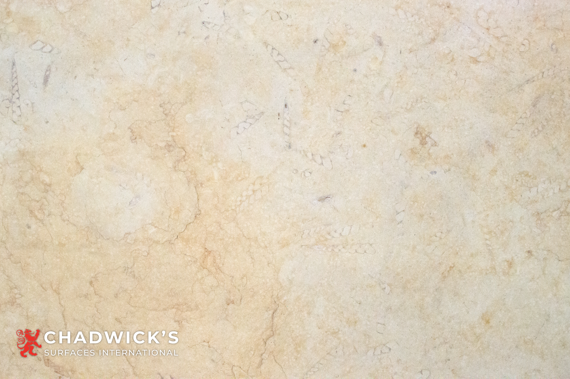 Temple Gold Slabs - Image 4